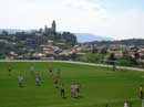 Sport